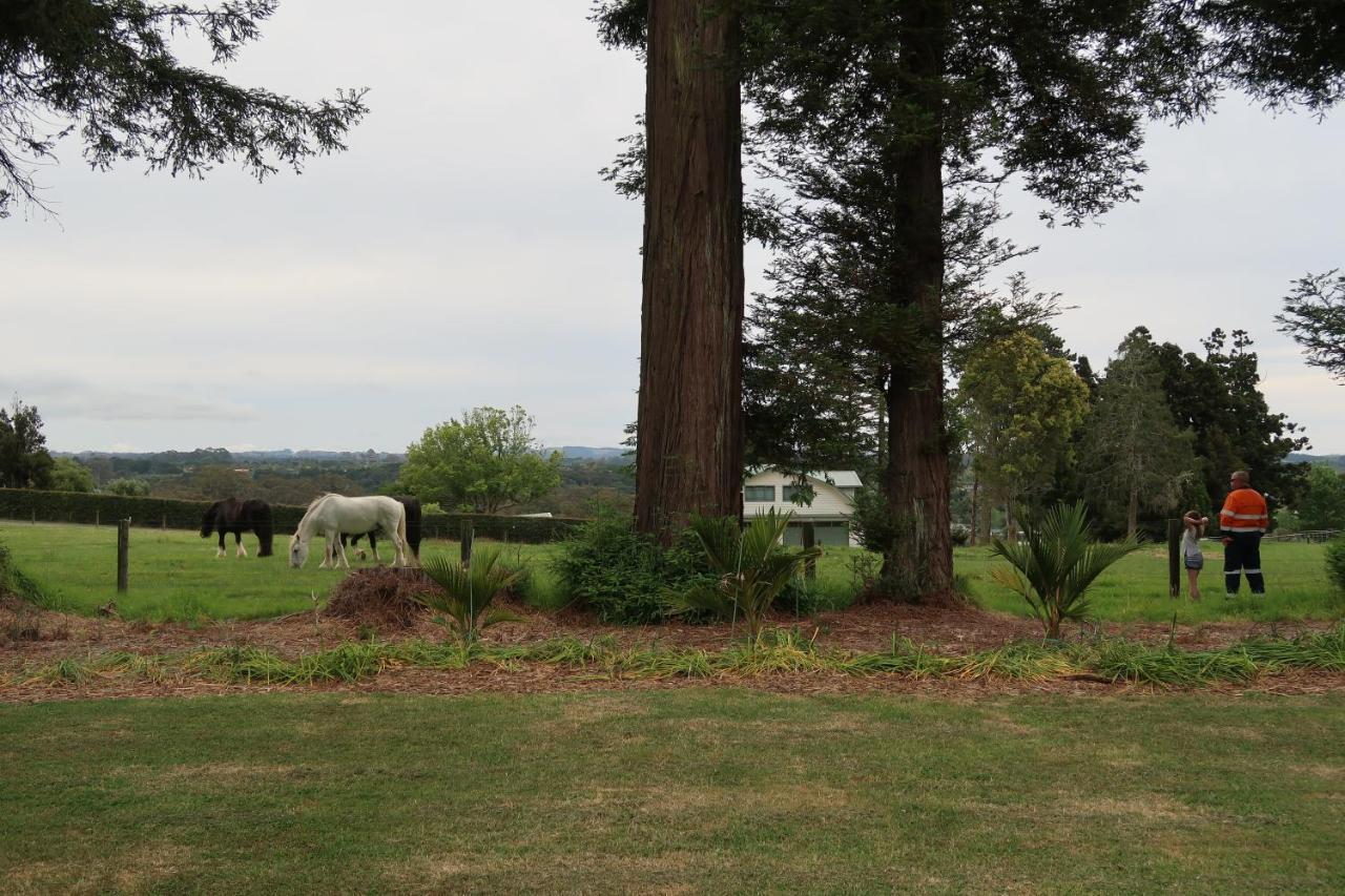 Cosy Nights - Modern, Self-Contained With Parking Appartement Kerikeri Buitenkant foto